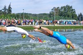 SPRINT