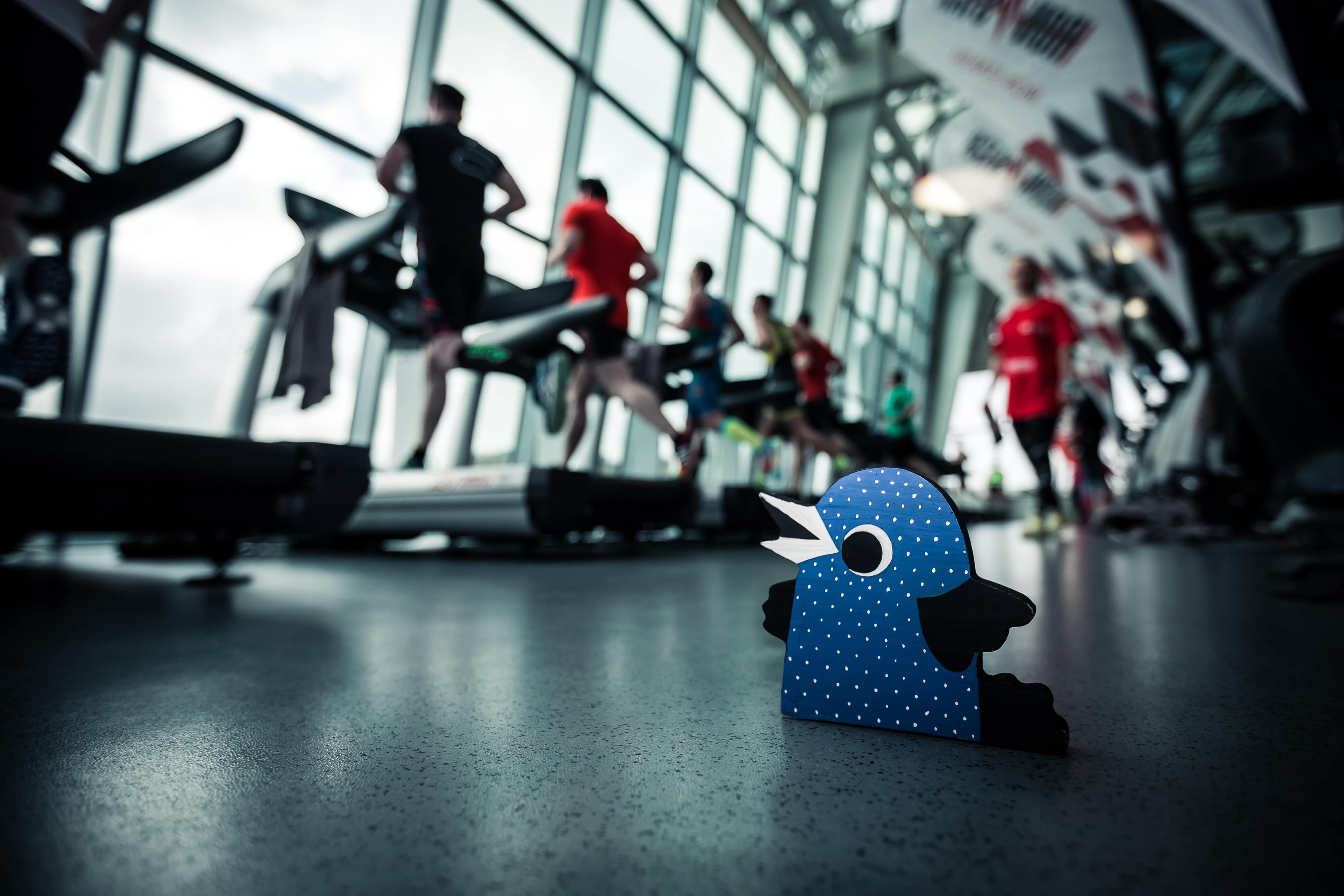 IRONSTAR & WORLD CLASS INDOOR TRIATHLON 18.02.2017