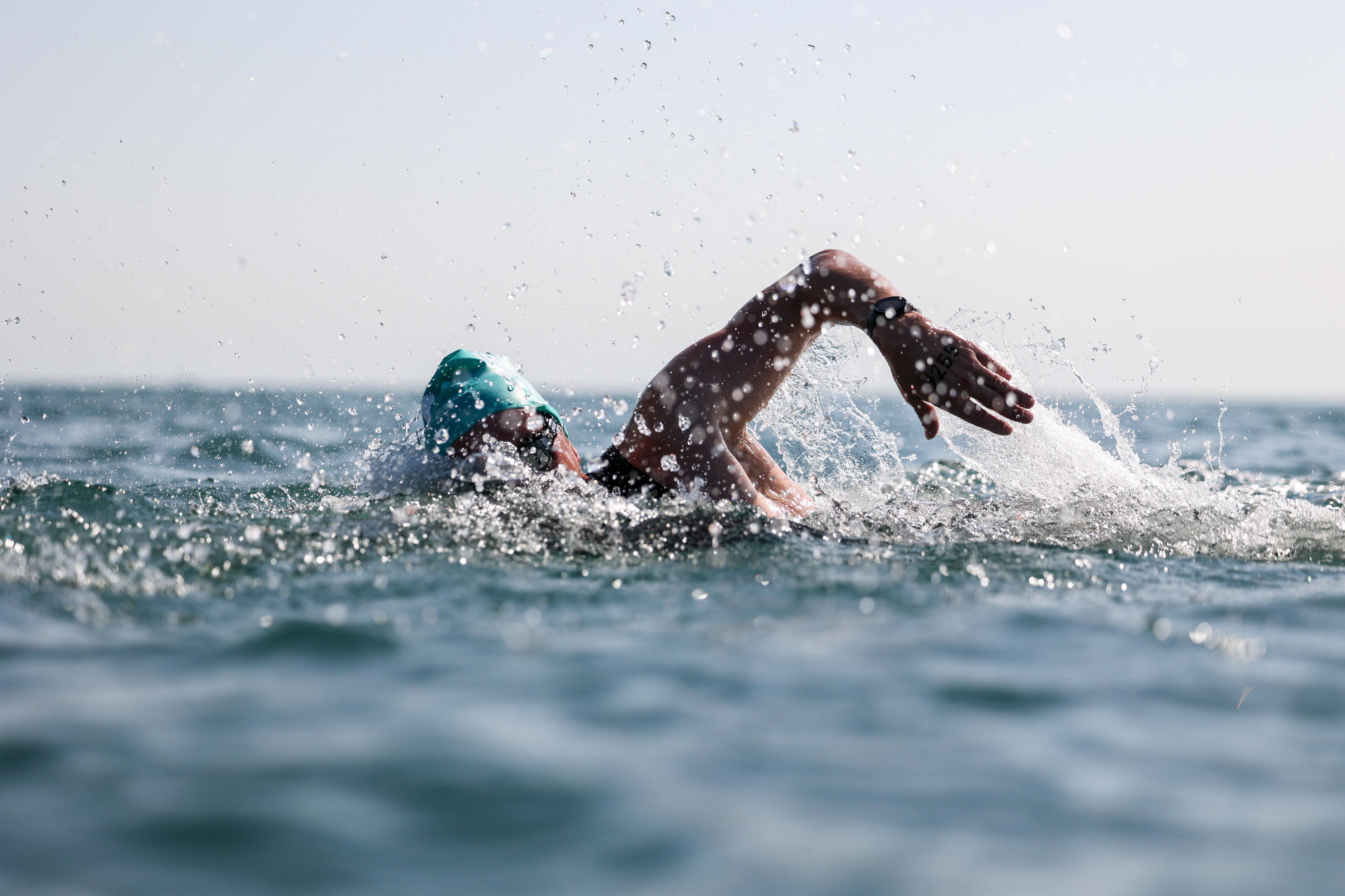 SWIMSTAR 2 МИЛИ SOCHI SIRIUS 2023 SWIMSTAR 2 МИЛИ SOCHI SIRIUS 2023